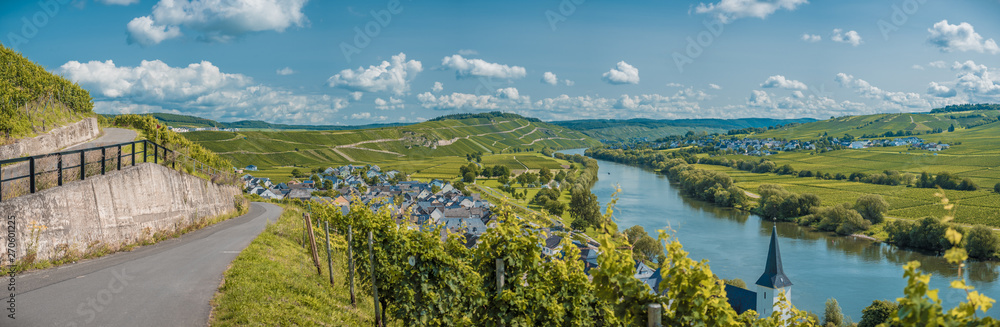 wineyards in mosel valley