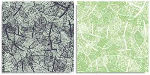 A vector set of a seamless pattern with sprigs of jungles leaves. Hand-drawn on sheet at the graphic style. Lines  compound path. Green color shades  alocasia  colocasia jungle. Looks like web  lace