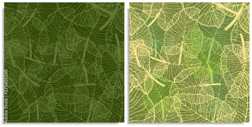 A vector set of a seamless pattern with sprigs of jungles leaves. Hand-drawn on sheet at the graphic style. Lines, compound path. Green color shades, alocasia, colocasia jungle. Looks like web, lace