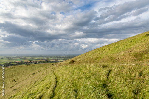 A Path on a Hillside Along the South Downs Way