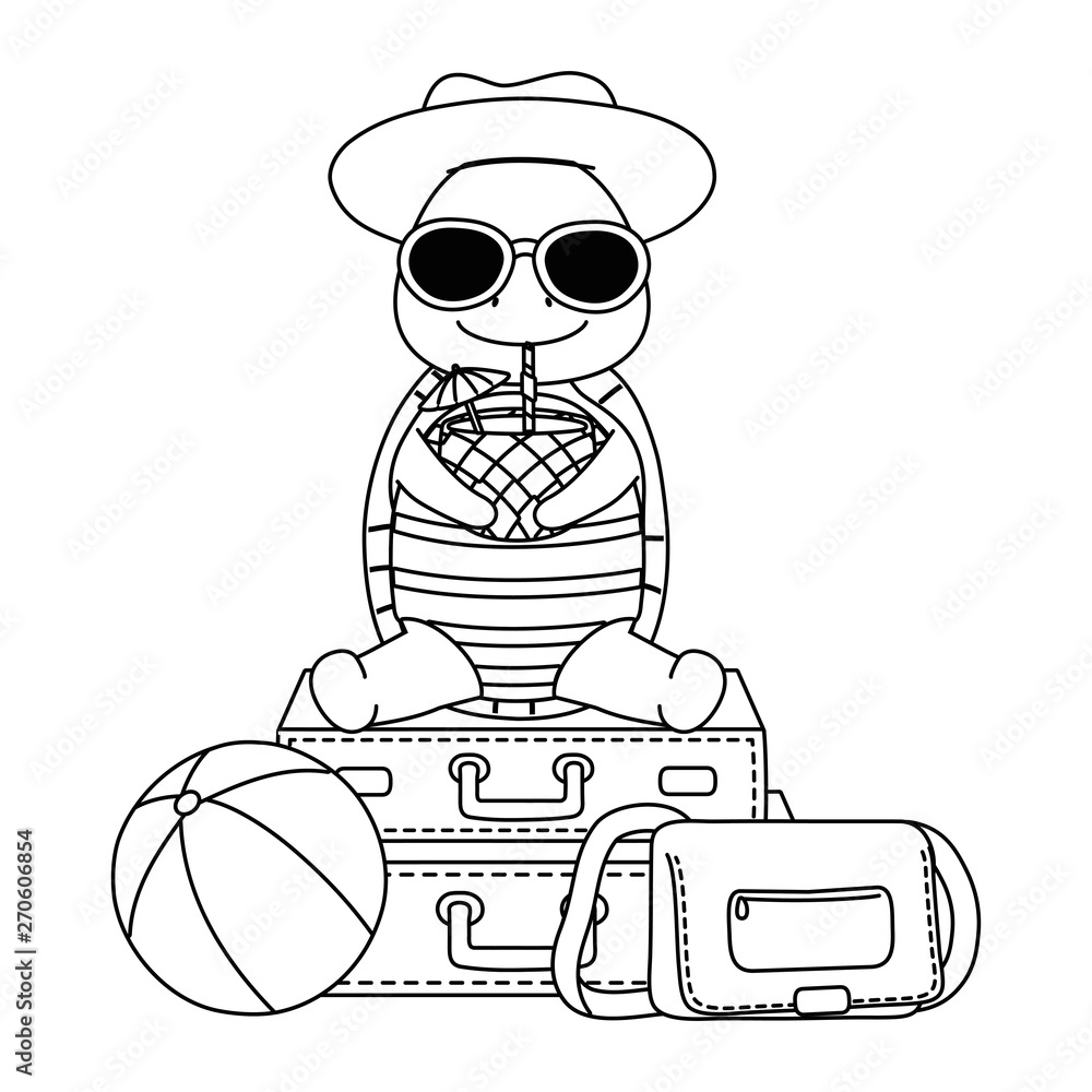 cute animal enjoying summer vacations cute animal enjoying summer vacations