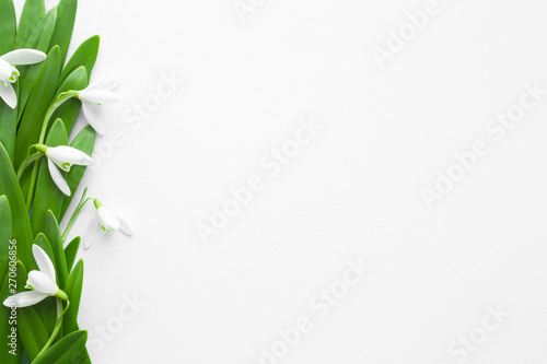 Fresh  beautiful white snowdrops with green leaves on light gray background. First messengers of spring. Empty place for inspirational  emotional  sentimental text  quote or sayings. 