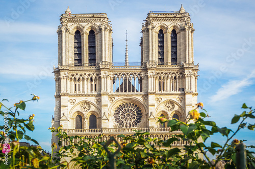 The beautiful Notre Dame de Paris cathedral during a beautiful sunny summer day