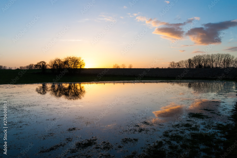 The settting sun reflected in a pool of water during late winter in east flanders.
