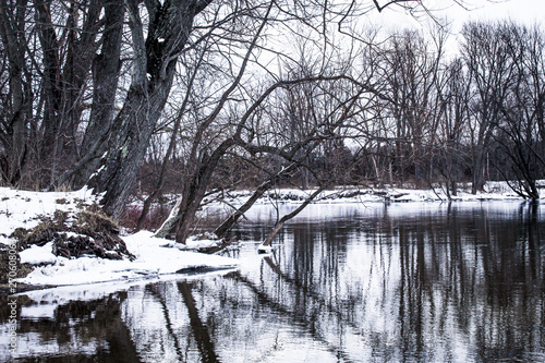 Wintery River Bank © Angela