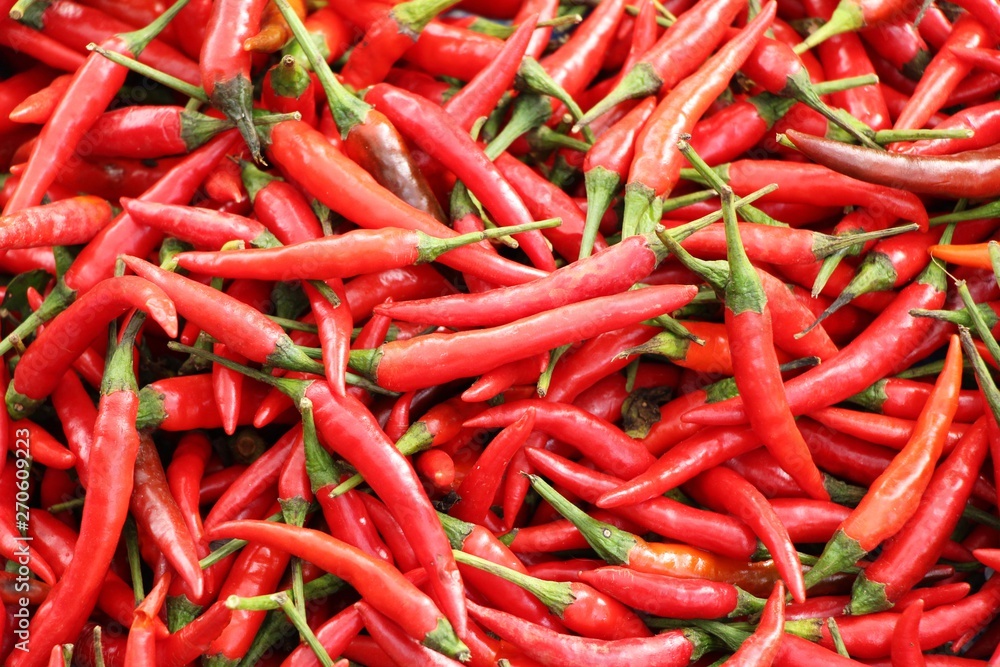 Fresh chilli for cooking at street food Fresh chilli for cooking at street food