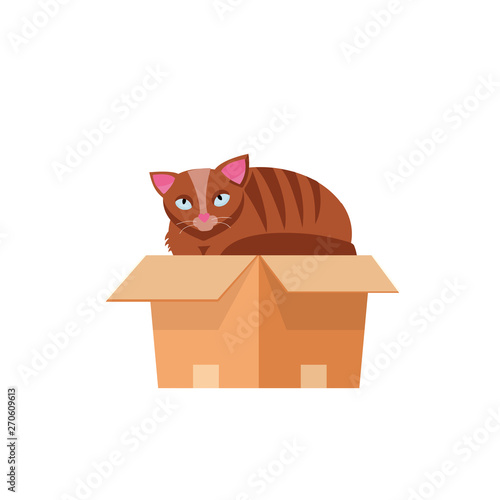 cat in the box. Cat in a cardboard box. Kitty inside carton box. Playful curious cat pet looking out of his hiding. Cartoon kitten in a box adoption Flat style vector character illustration