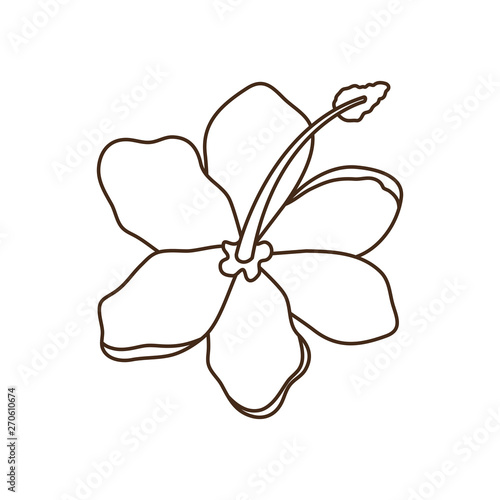 beautiful flower with leafs in white background