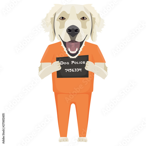 Polizeifoto Gefängniskleidung Golden Retriever