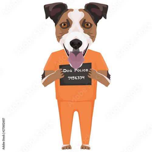 Polizeifoto Gefängniskleidung Jack Russell Terrier
