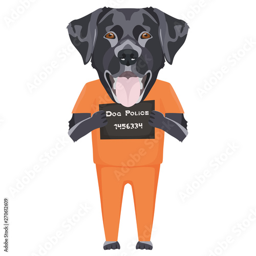 Polizeifoto Gefängniskleidung schwarzer Labrador