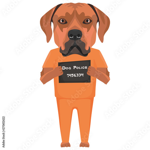 Polizeifoto Gefängniskleidung Rhodesian Ridgeback