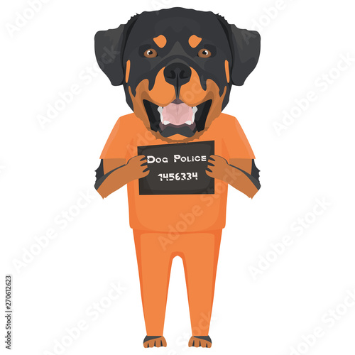 Polizeifoto Gefängniskleidung Rottweiler