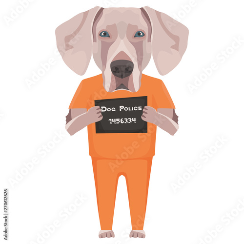Polizeifoto Gefängniskleidung Weimaraner