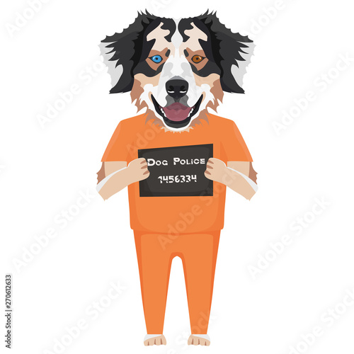 Polizeifoto Gefängniskleidung Australian Shepherd