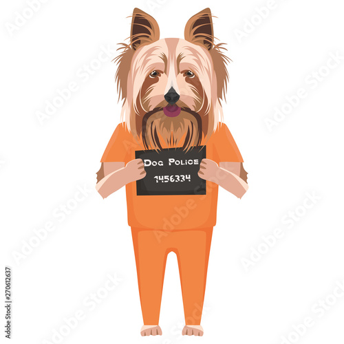 Polizeifoto Gefängniskleidung Yorkshire Terrier