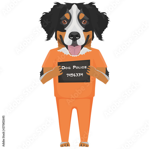Polizeifoto Gefängniskleidung Berner Sennenhund