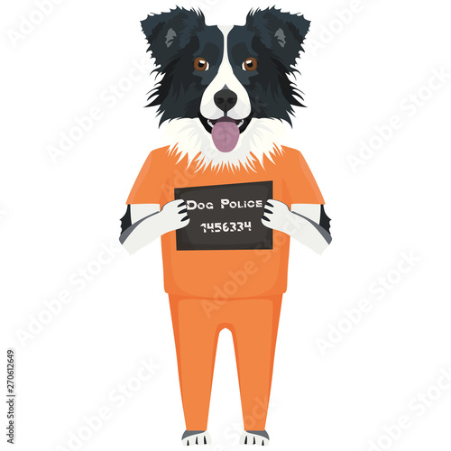 Polizeifoto Gefängniskleidung Border Collie