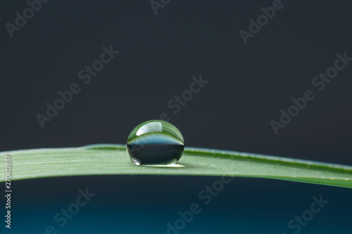 A ball of transparent water drop on blade of grass on dark blue background. Macro, selective focus