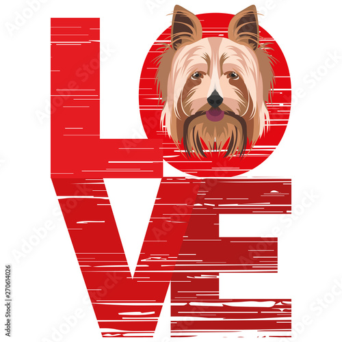 Love Yorkshire Terrier
