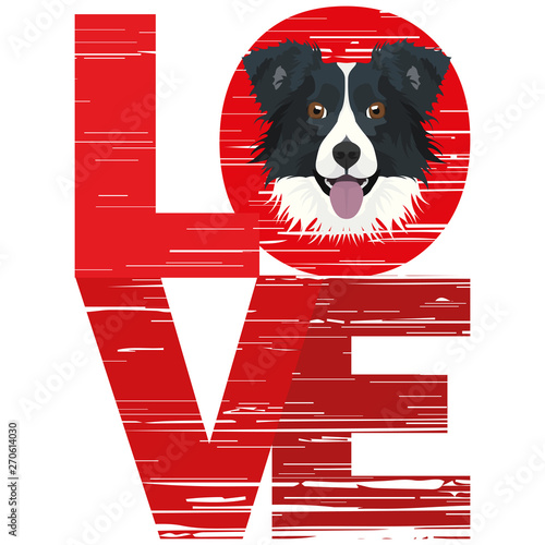 Love Border Collie