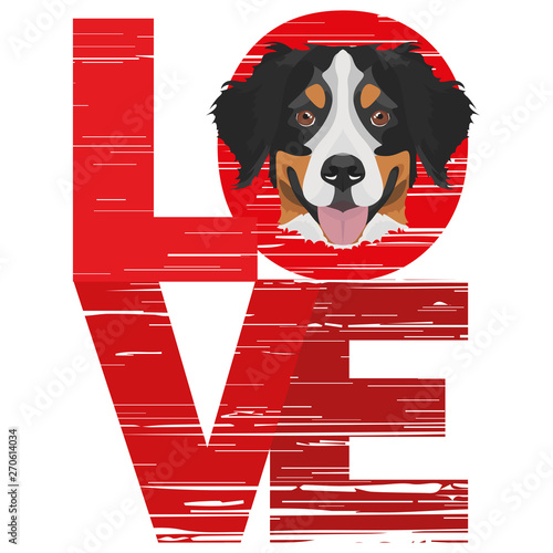 Love Berner Sennenhund