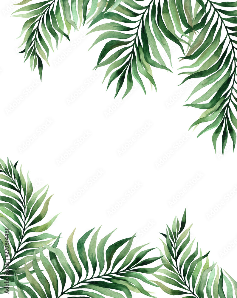 watercolor illustration of tropical leaves, green branches, fern. frame of tropical leaves. invitation to the wedding