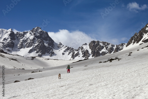Dog and trekker on snowy plateau in high mountains and blue sky with clouds
