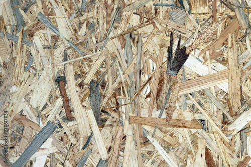 tree wood timber background abstract 