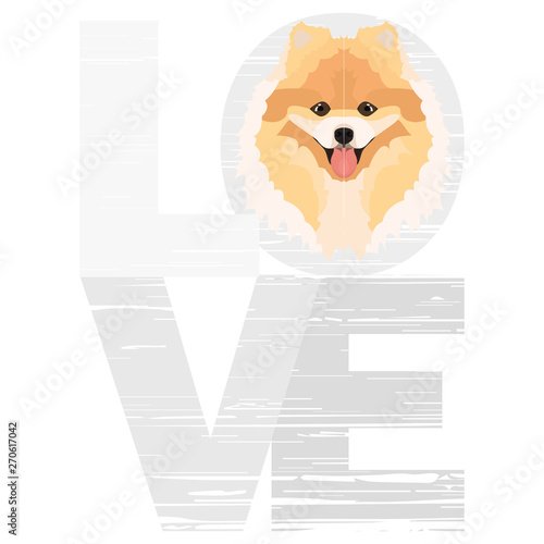 Love Chow-Chow