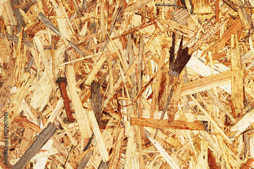 tree wood timber background abstract 