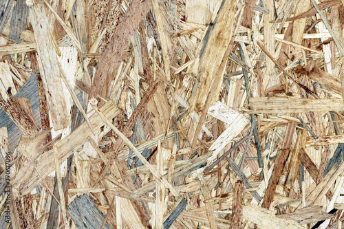 tree wood timber background abstract 