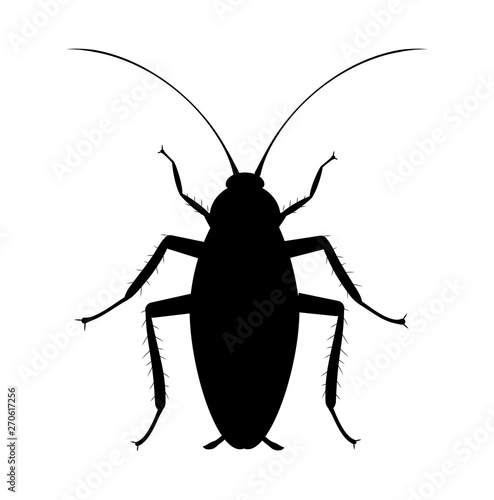 Cockroach Silhouette. Symbol of pets insect control service. Bug spray and insecticide icon