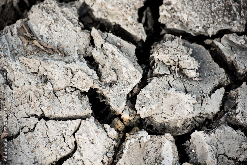 Fototapeta premium Cracked drought ground surface background. Disaster concept.