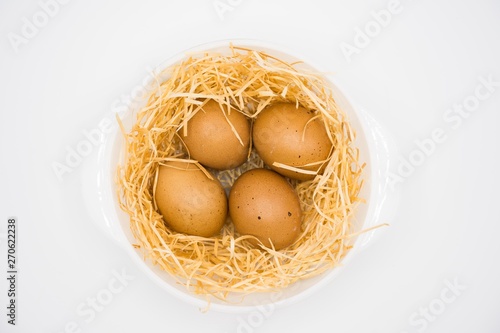 isolated egg with nest