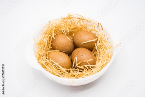 isolated egg with nest