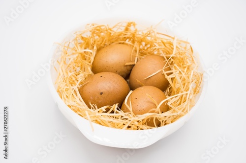 isolated egg with nest