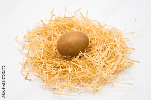 isolated egg with nest