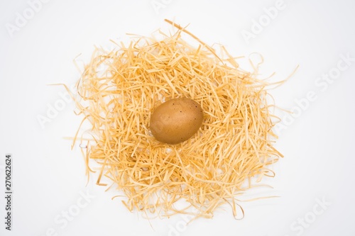 isolated egg with nest