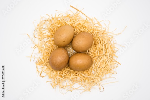isolated egg with nest