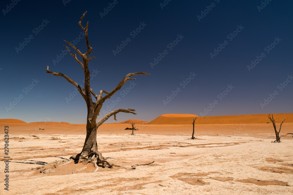Deadvlei in Sossusvlei desert, Namibia