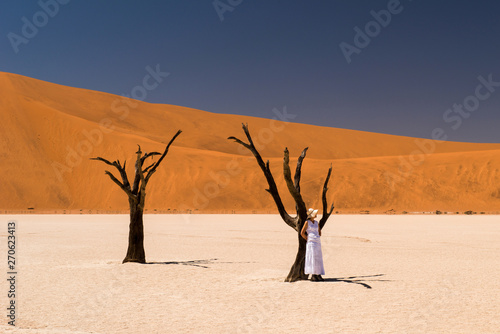 Deadvlei at Sossusvlei desert, Namibia