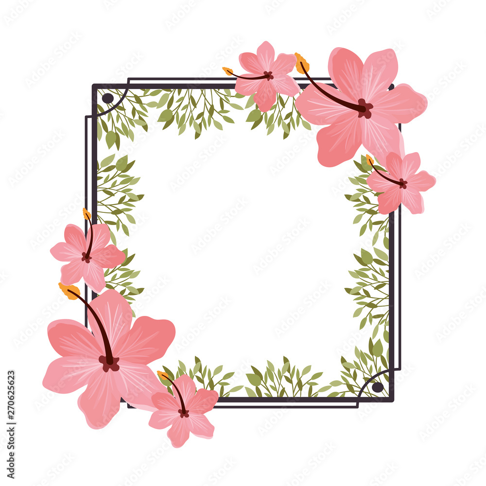 frame with flower and leafs of summer