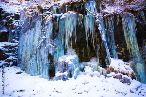 Icicles inside of the forest