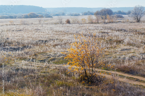 sunny autumn landscape with frost © Maya Kruchancova