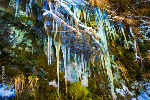 Fototapeta Naklejka Na Ścianę i Meble -  Icicles inside of the forest