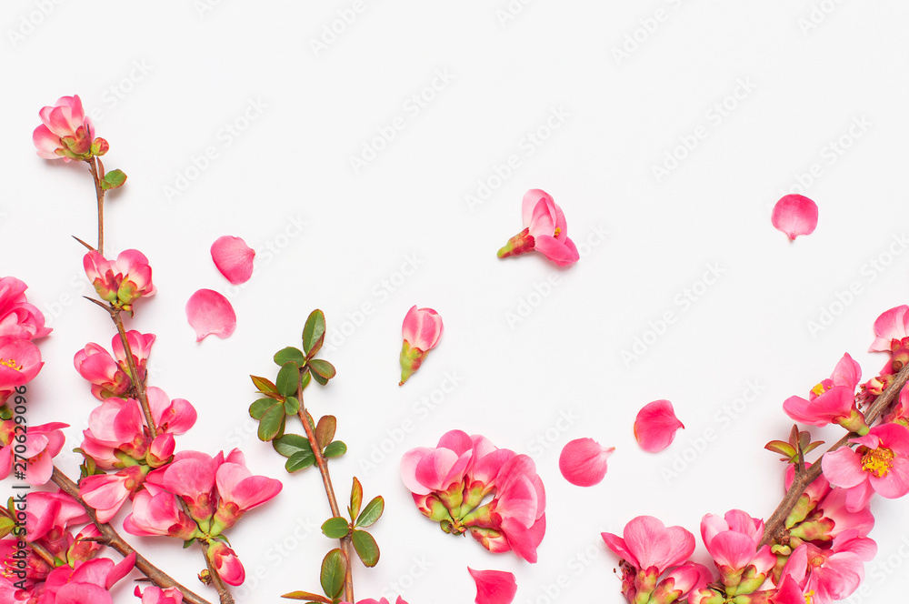 Pink spring flowers on light gray background top view Copy Space. Pink flowering branches. Summer bouquet lifestyle. Springtime concept. Greeting card with delicate flowers floral background.