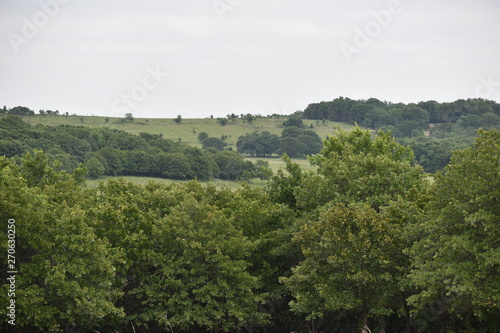 Oklahoma Ranch