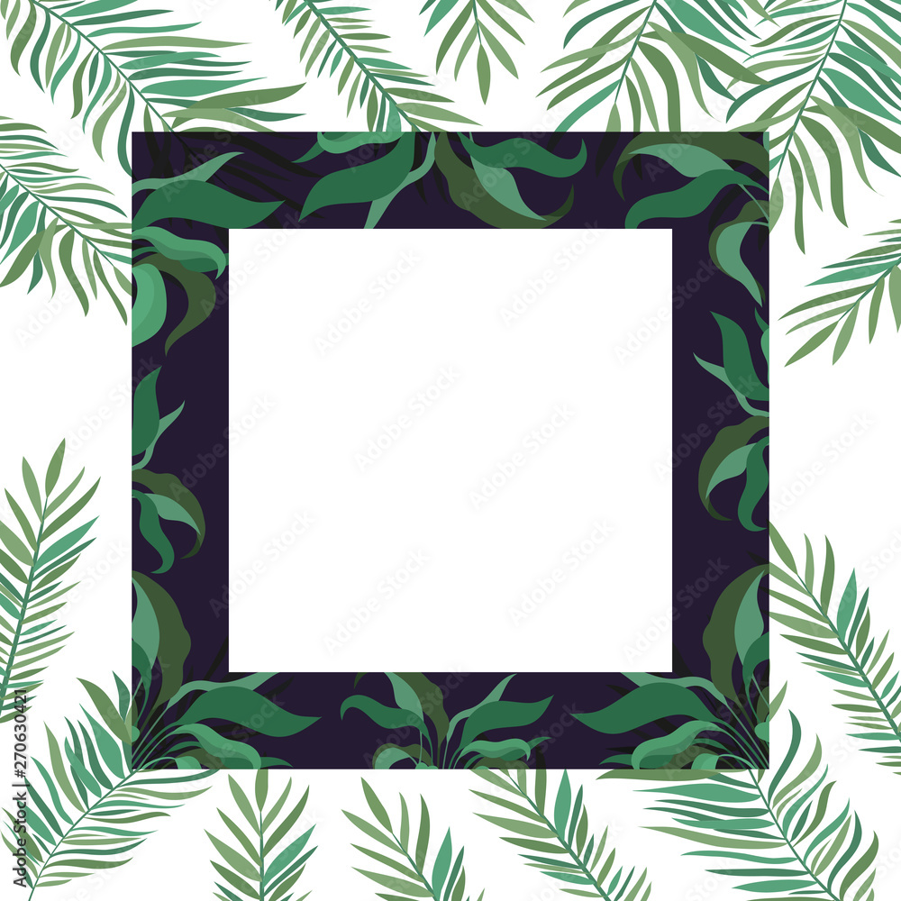 frame with branch and leaf of summer frame with branch and leaf of summer