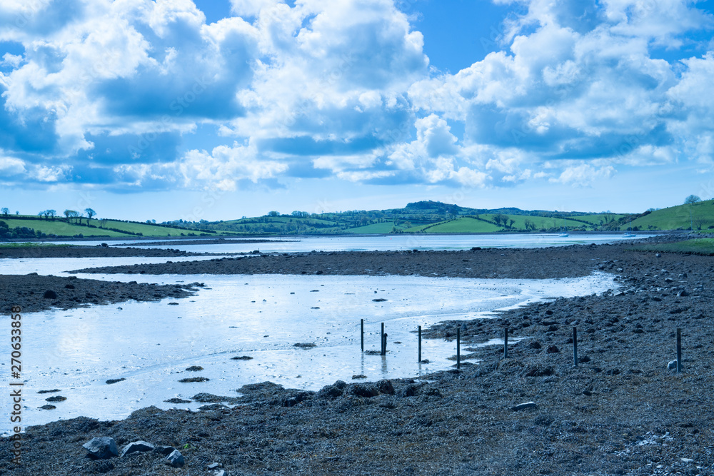Obraz premium View over Strangford Lough